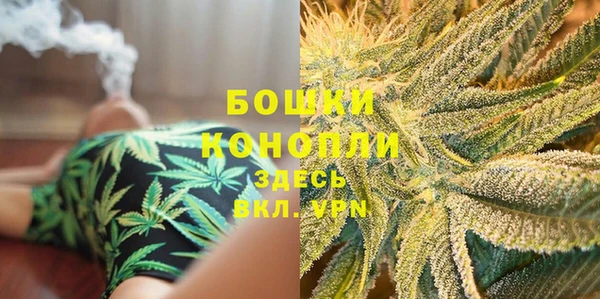 крисы Богданович