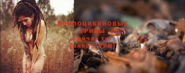 прущие крисы Богородск