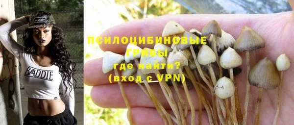 крисы Богданович