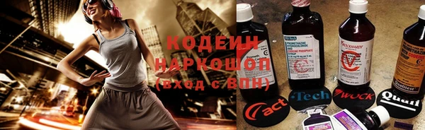 крисы Богданович