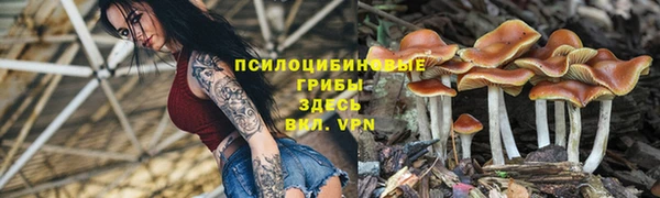 крисы Богданович